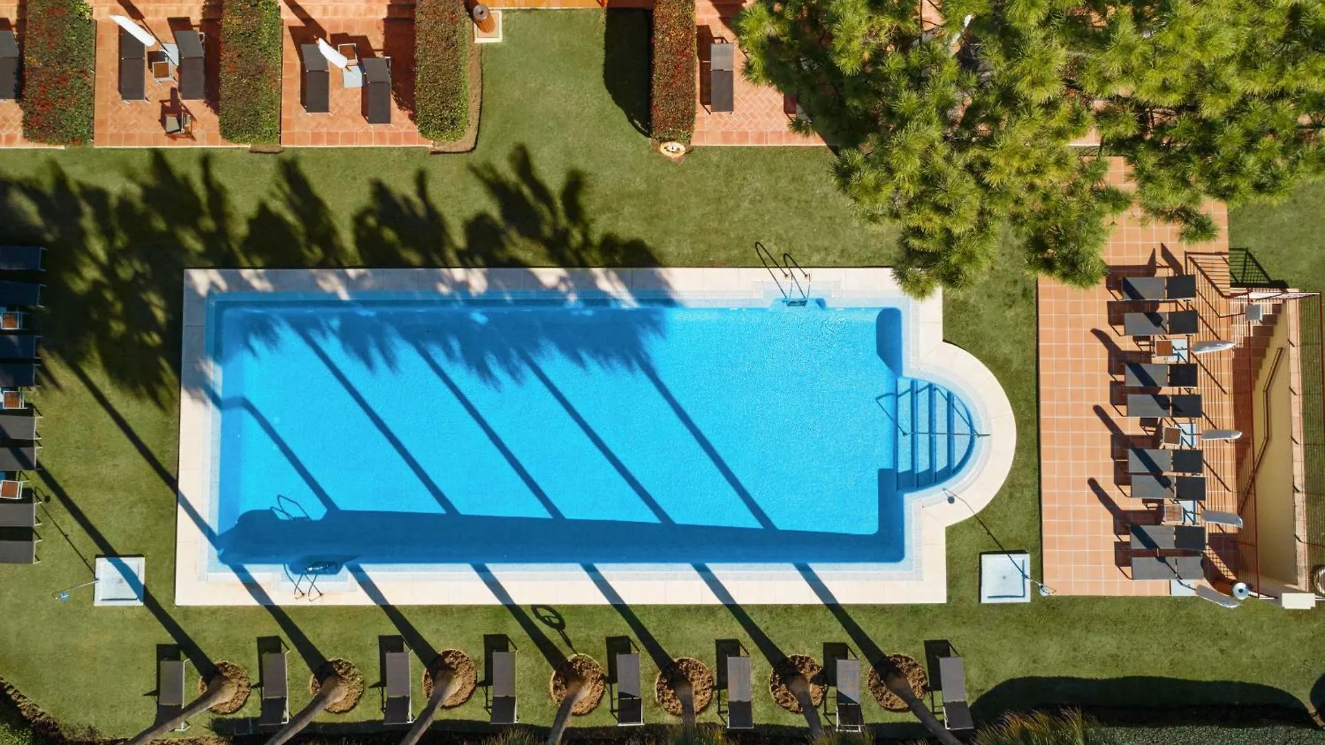 Don Carlos Marbella