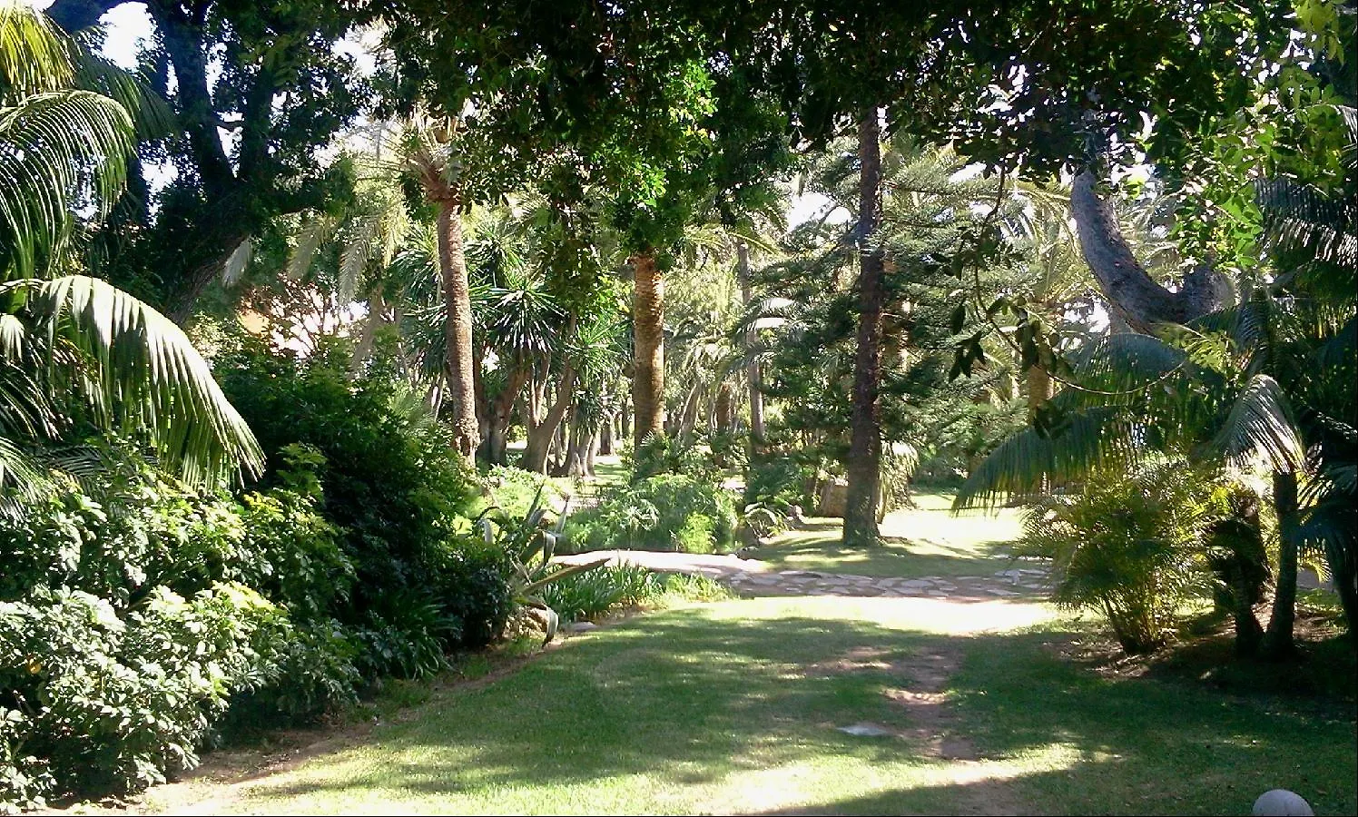 Don Carlos Marbella